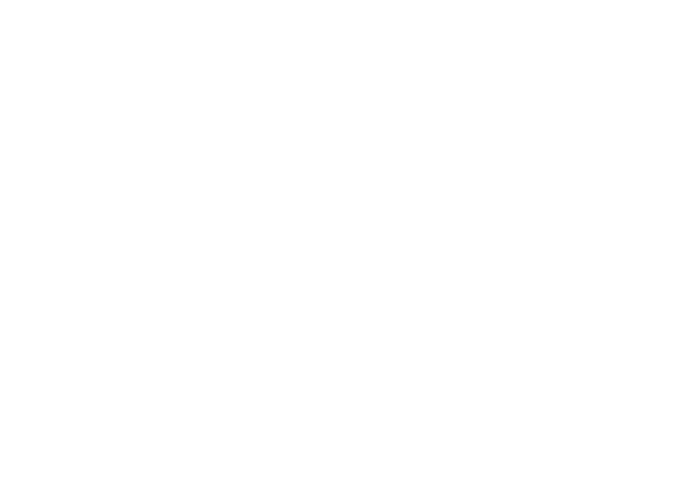 Wonderland Store